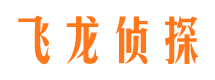 迎江侦探公司